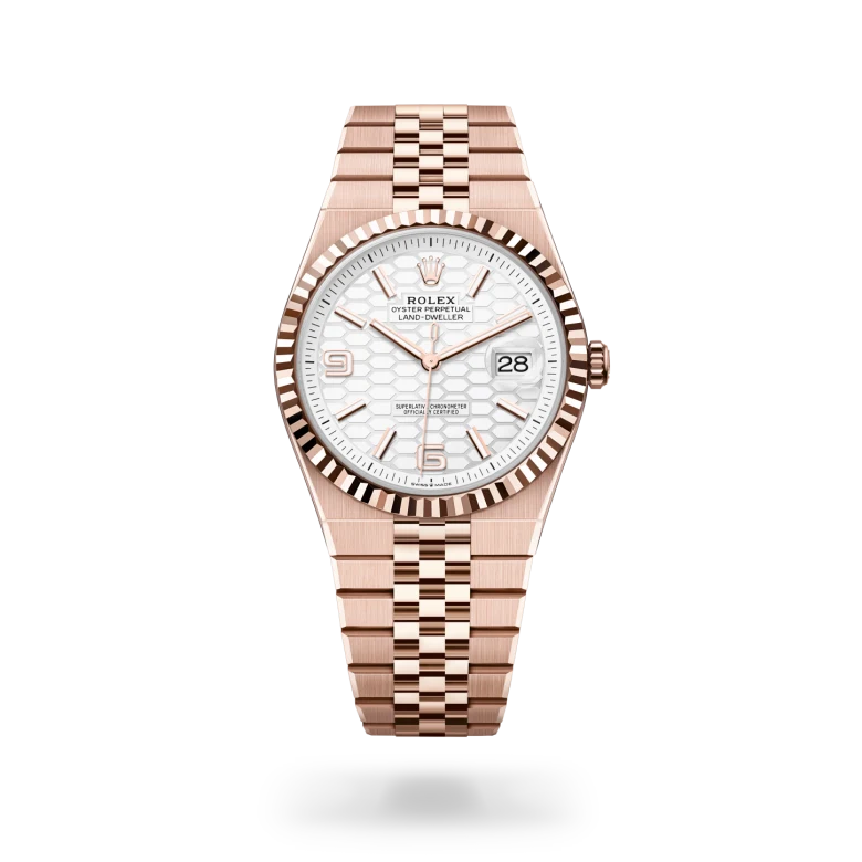 rolex Land-Dweller 40 watches - royal de versailles
