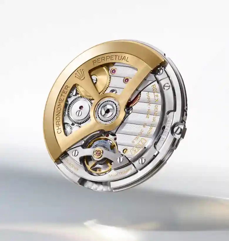 rolex new land dweller watches 2025 - royal de versailles